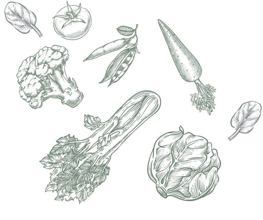 Légumes frais illustrés : gravures de brocoli, carotte et chou. Gravure monochrome détaillée de légumes frais : brocoli, carotte, céleri, pois, tomate, épinards et chou sur fond sombre.